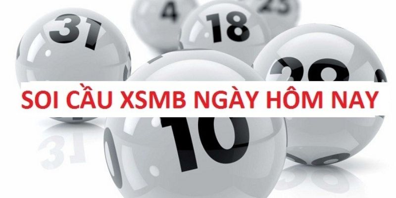 Hiểu luật để tham gia cá cược tốt nhất