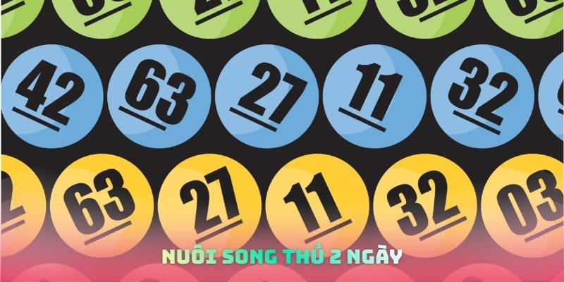 Nuôi song thủ 2 ngày