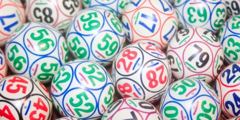 Phương pháp lựa chọn hợp lý con số để nuôi